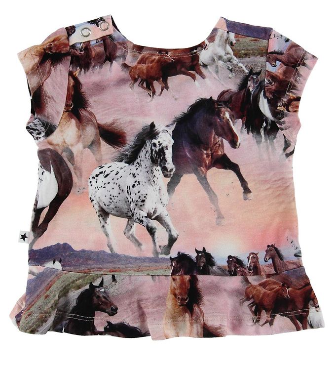 Molo T-shirt - - Wild Horses Børnepengekredit