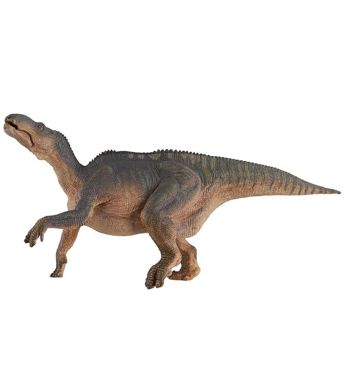 Image of Papo Iguanodon - L: 23 cm - OneSize - Papo Dinosaur (136299-735752)