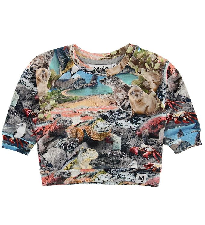 Molo Sweatee Shirt Dag Galapagos Wildlife