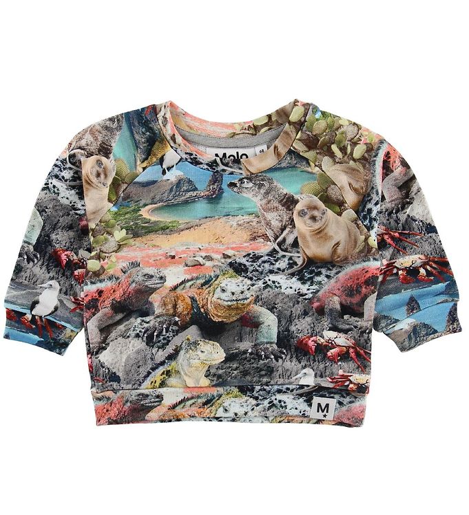 Molo Sweatshirt - Dag - Galapagos Wildlife