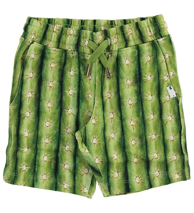 Molo Sweatshorts Arnt Cactus