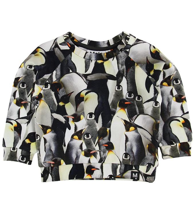 Molo Sweatshirt - Dag Penguins Galore male