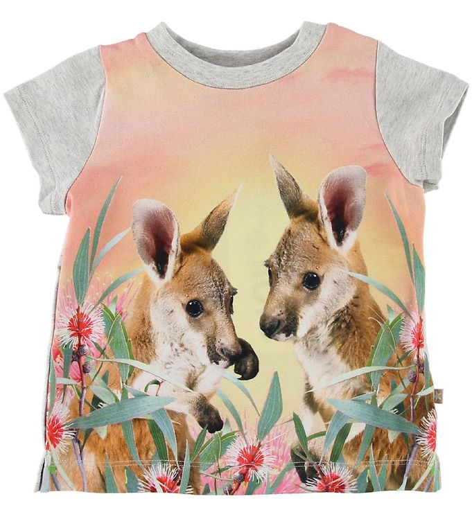 Molo T-shirt - Elly - Cute Kangaroos