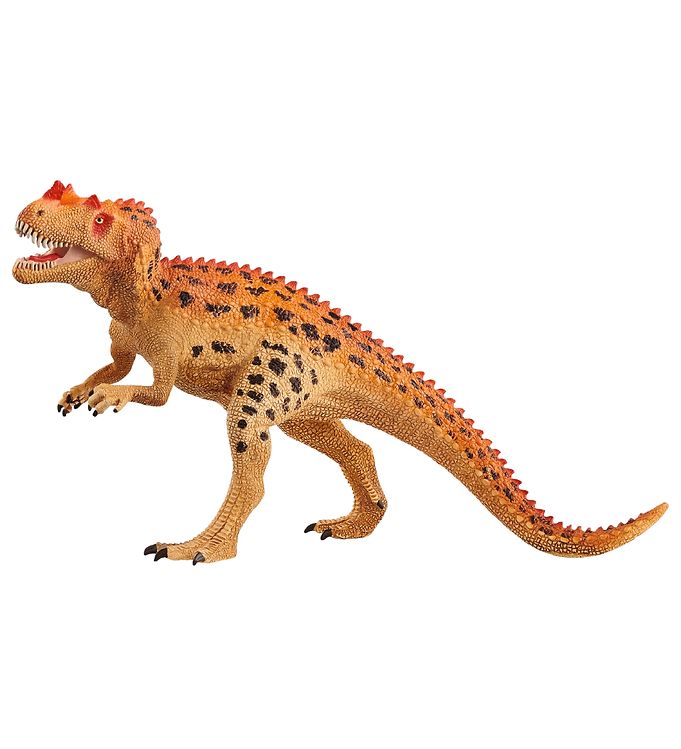Image of Schleich Dinosaurs - 11,1 x 18,9 cm - Ceratosaurus 15019 - OneSize - Schleich Dinosaur (207197-1034743)
