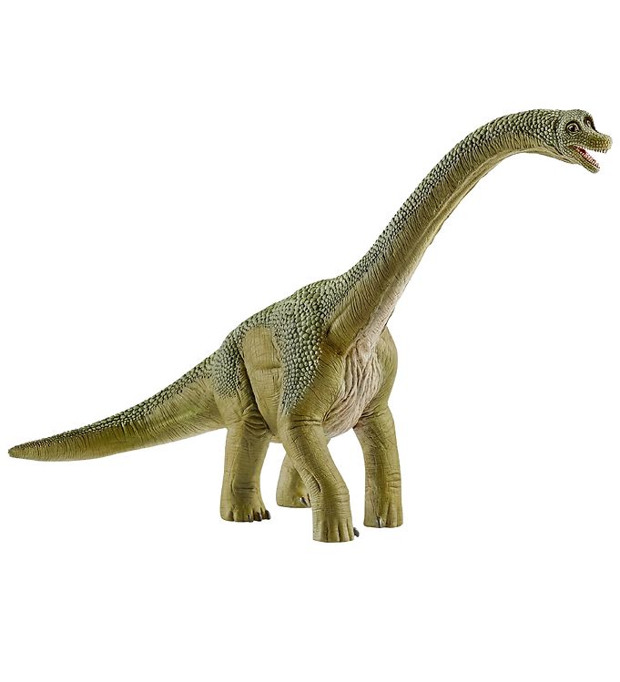 Image of Schleich Dinosaurs - Brachiosaurus - H: 18,5 14581 - OneSize - Schleich Dinosaur (193344-970502)