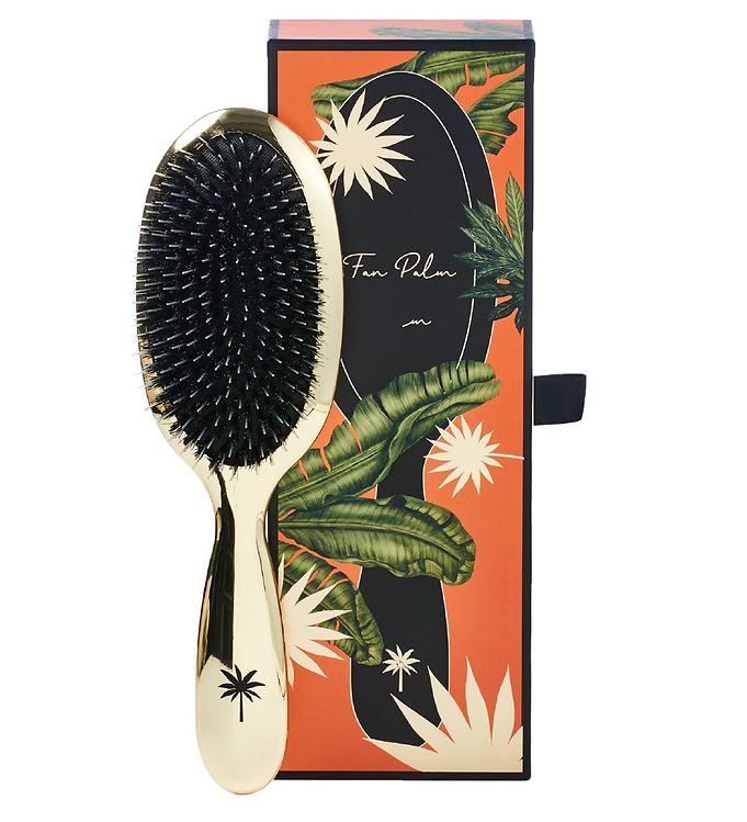 Image of Fan Palm Hårbørste - Medium - Hollywood (217342-1075090)