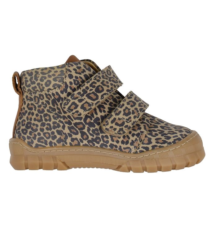 Angulus Begyndersko – Leopard