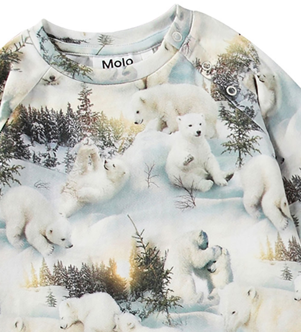 Molo Heldragt - Fairfax - Snowy Bears