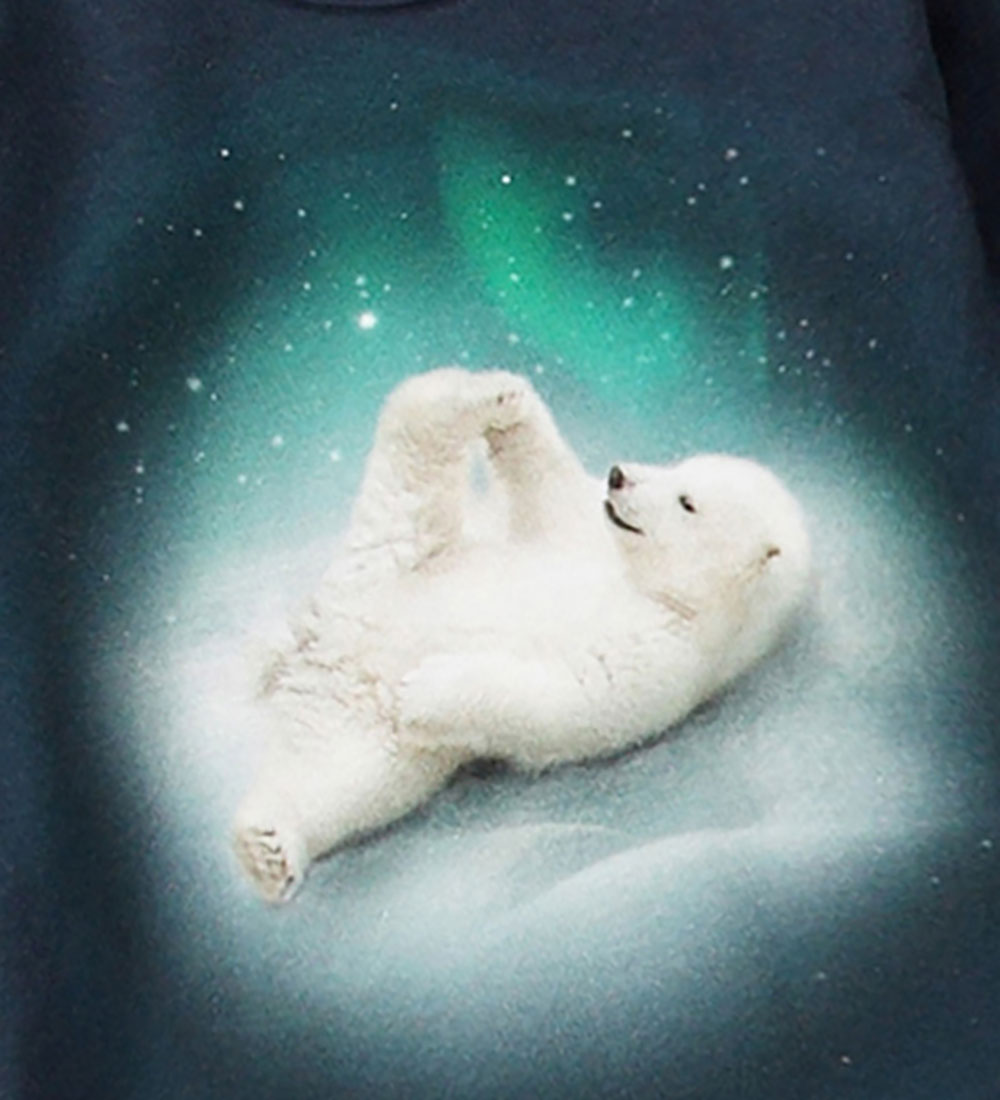 Molo Body l/æ - Foss - Polar Cub