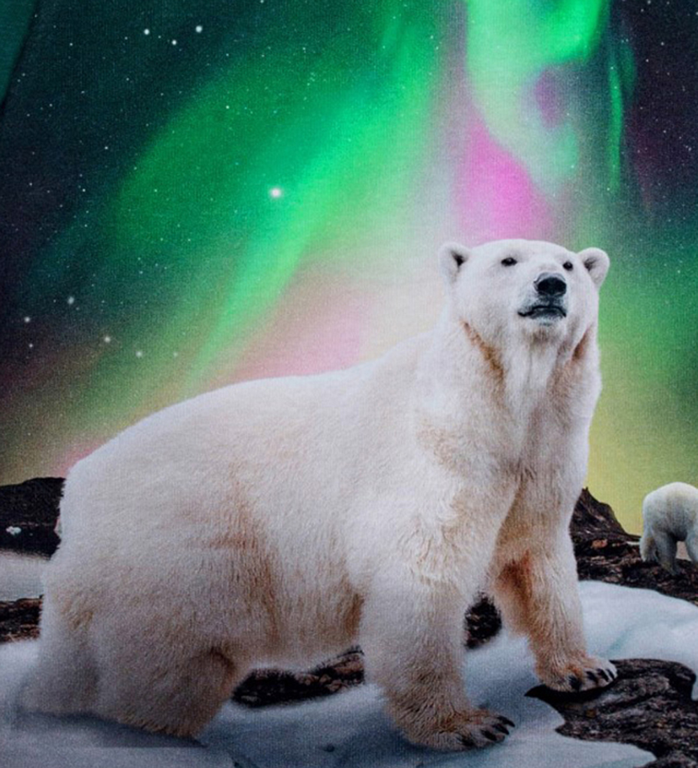 Molo Bluse - Reif - Polar Bear