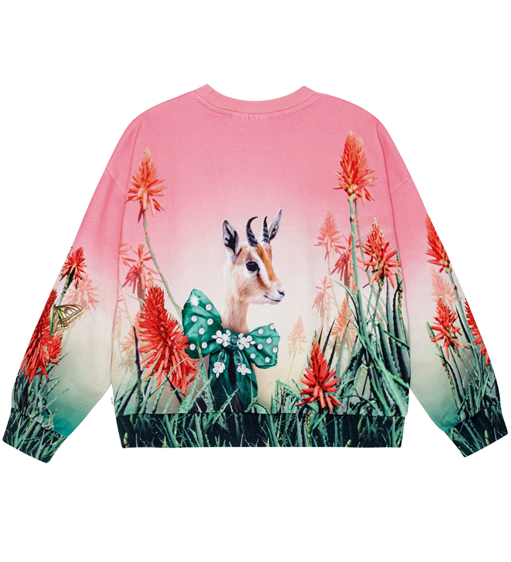 Molo Sweatshirt - Maxi - Fancy Cat