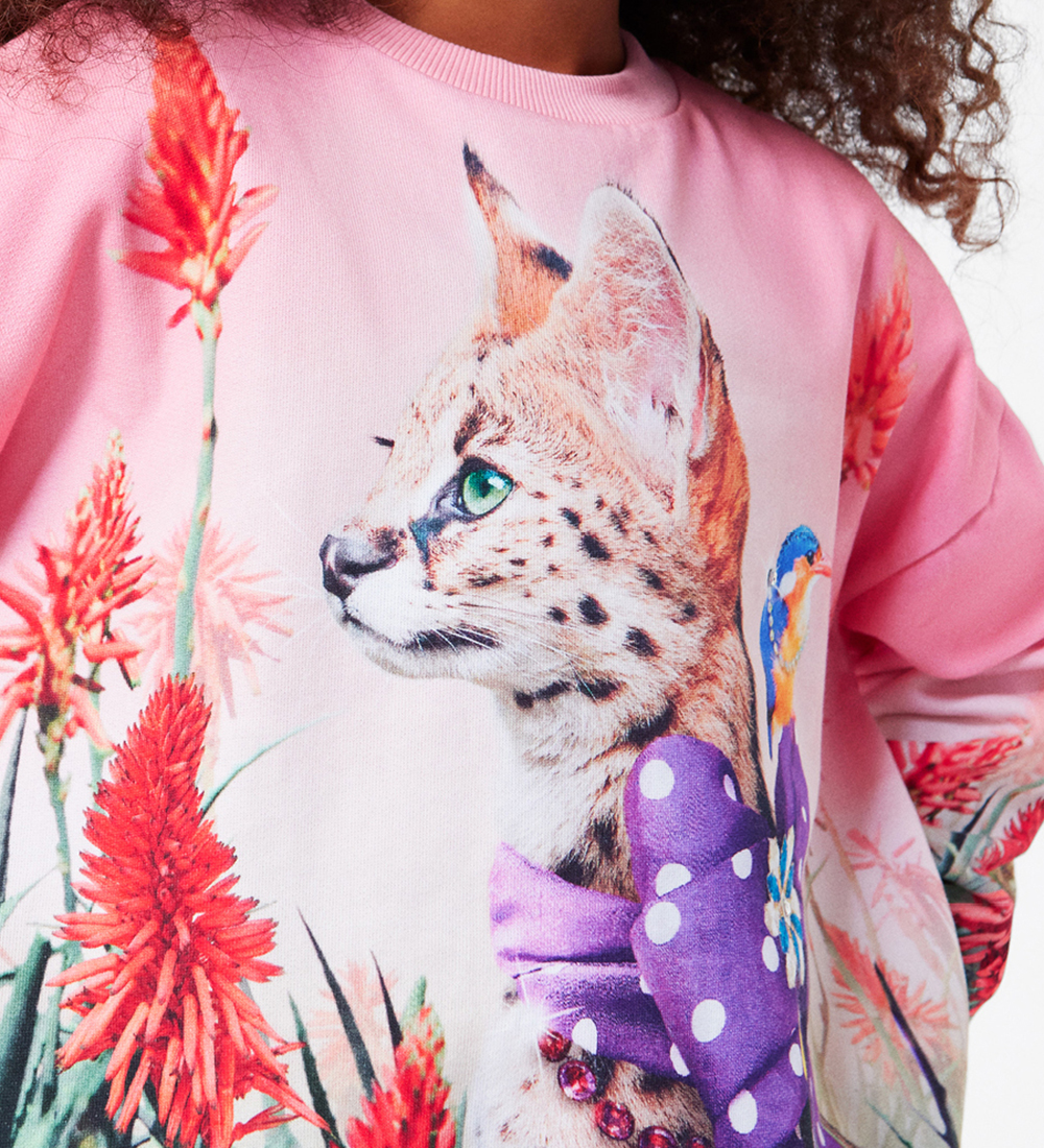 Molo Sweatshirt - Maxi - Fancy Cat