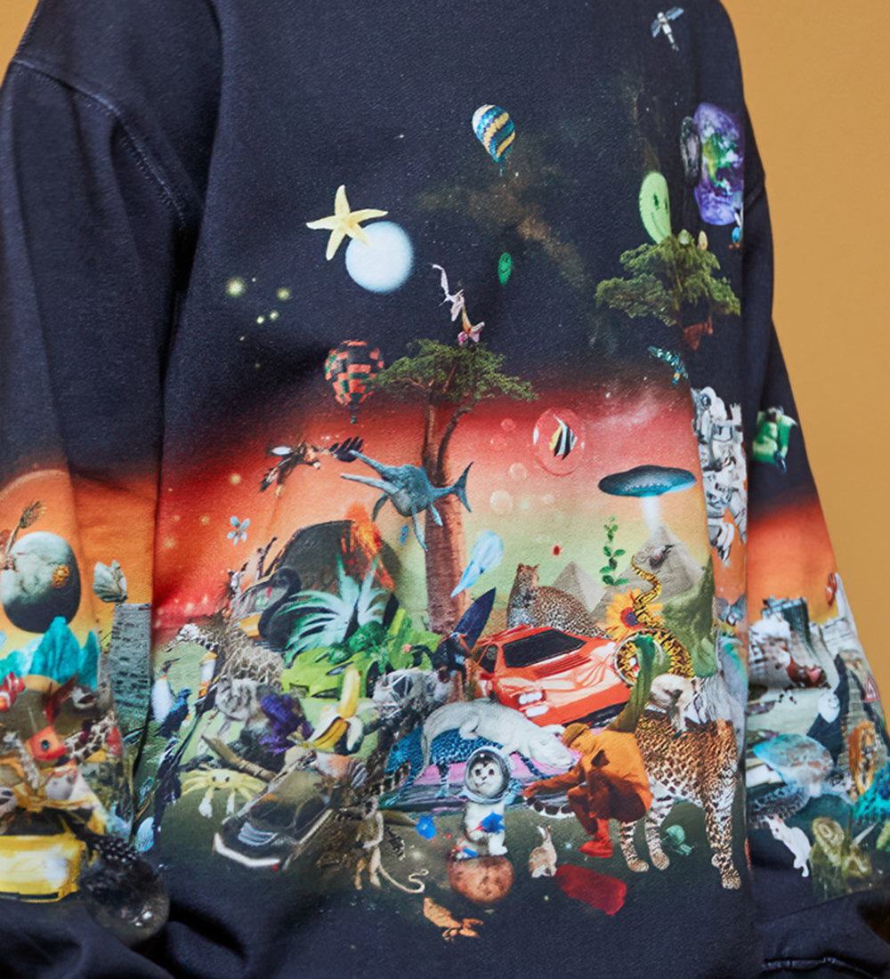 Molo Sweatshirt - Monti - All Things