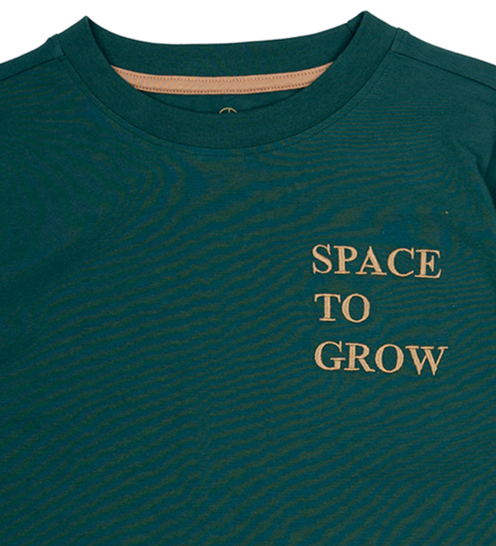 The New T-shirt - TnMatthew - June Bug