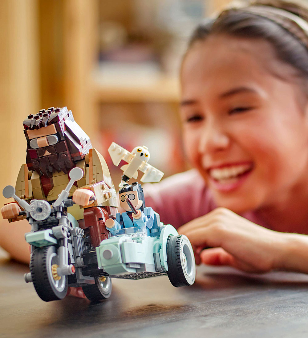 LEGO® Harry Potter - Hagrid & Harry's Motorcykeltur 76443 - 617
