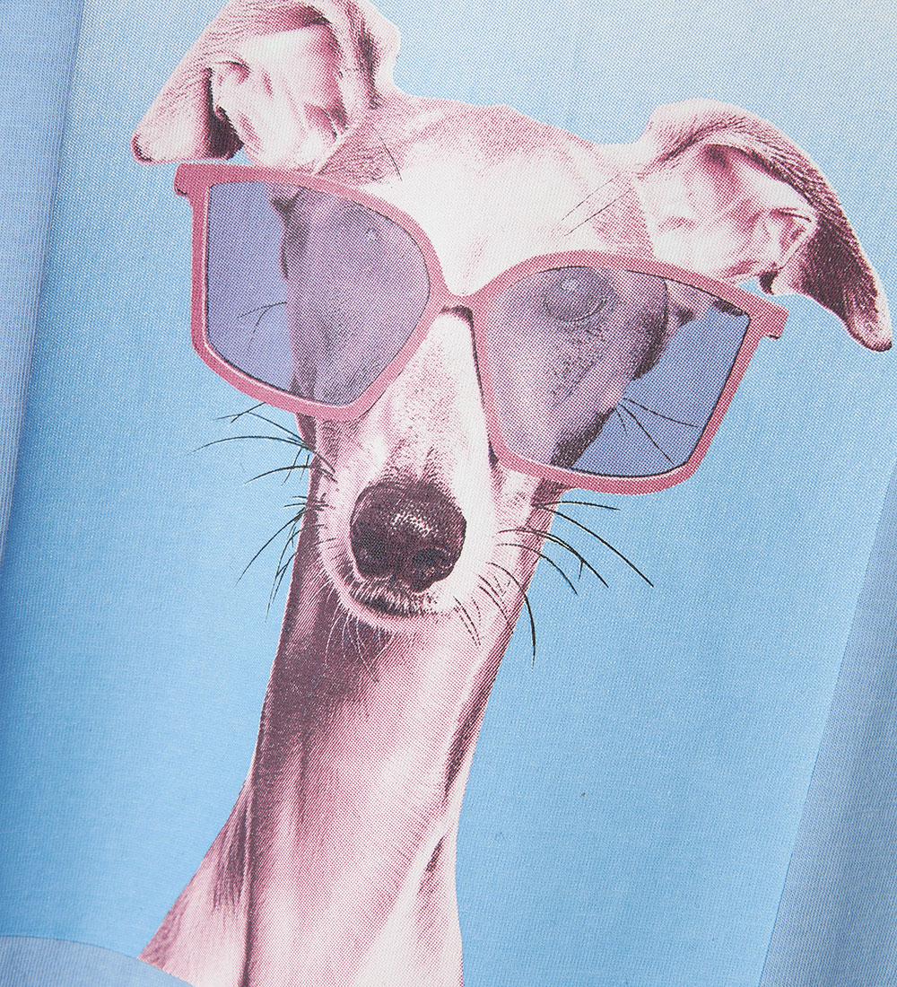 Name It T-shirt - NkfVotea - Serenity/Dog