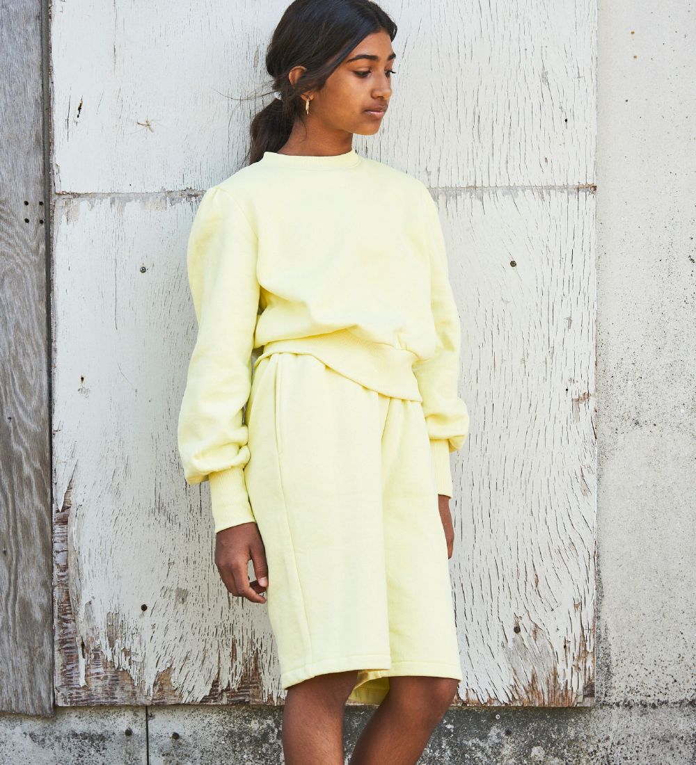 Hound Sweatshirt - Warm Yellow