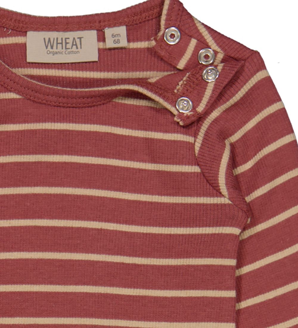 Wheat Body l/ - Rib - Apple Butter Stripe