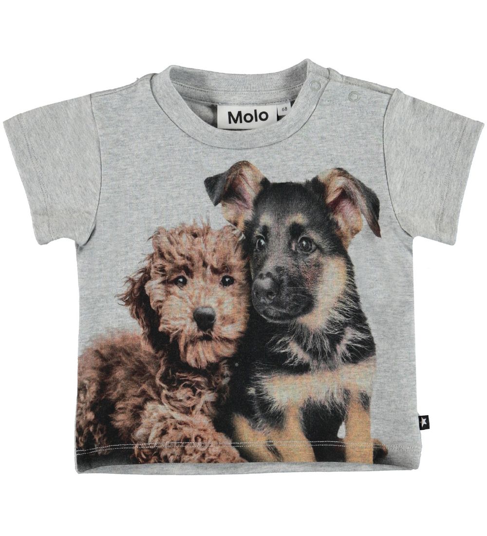 Molo Bluse - Emllio - Pups Mates