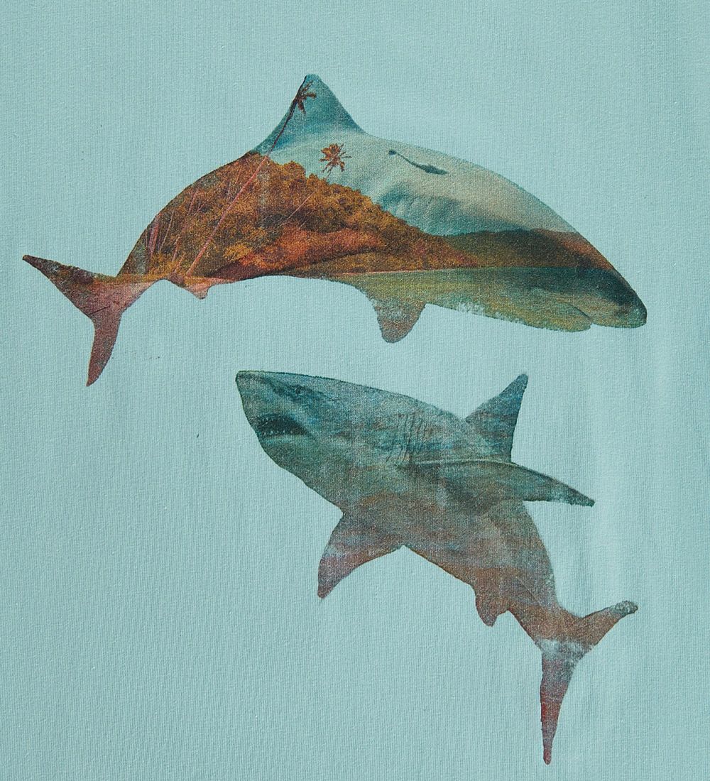 Soft Gallery T-shirt - SGJaden Sharks - Canal Blue