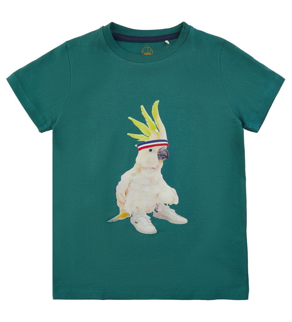 The New T-shirt - Cockashoe - Jasper