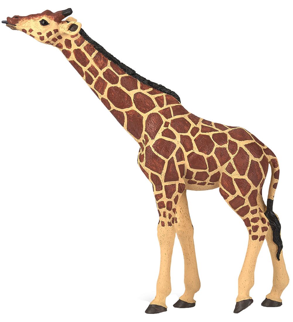 Papo Giraf - H: 14 cm
