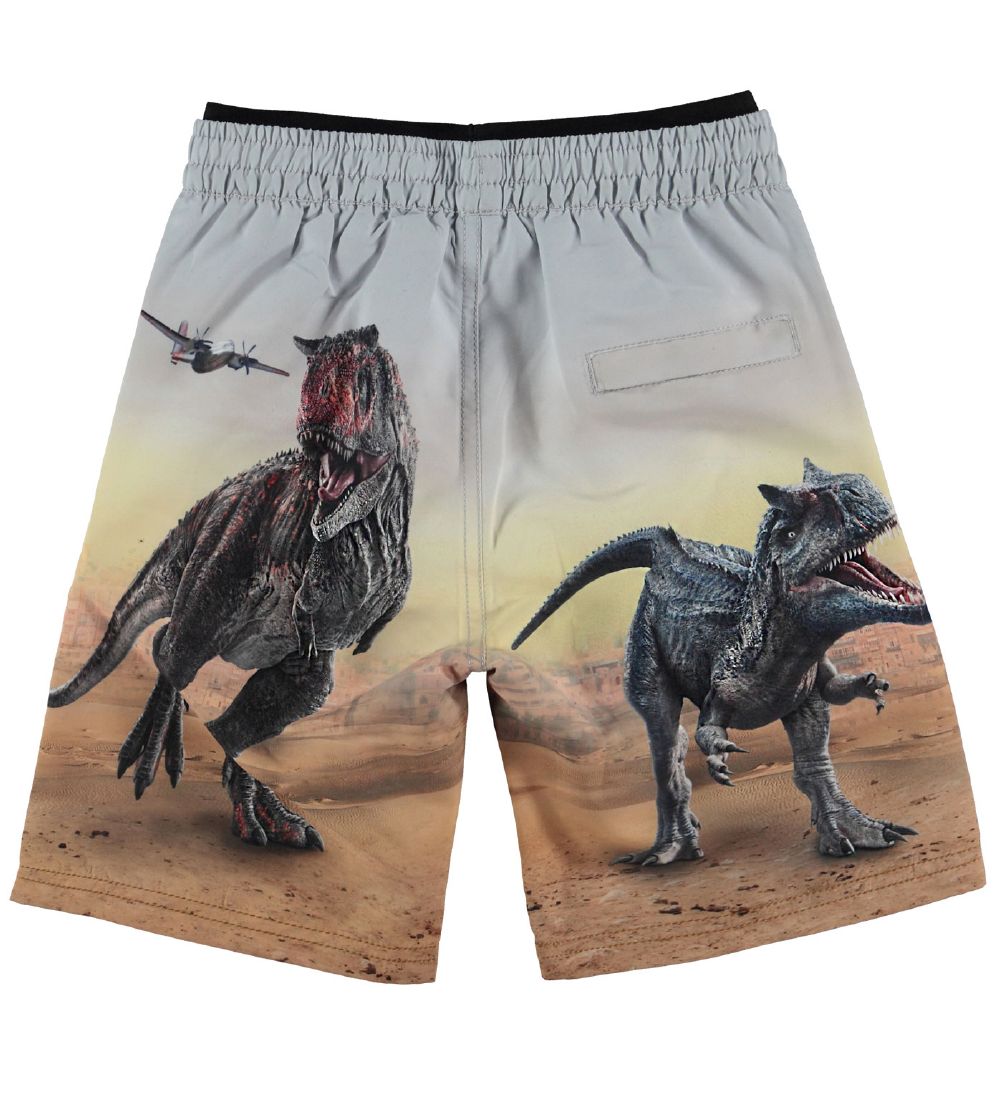 Molo Badeshorts - UV50+ - Neal - Dino Scenery