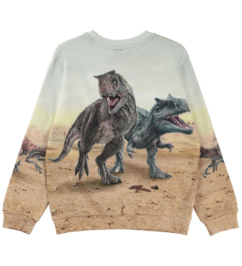 Molo Sweatshirt - Miksi - Dinos Galore