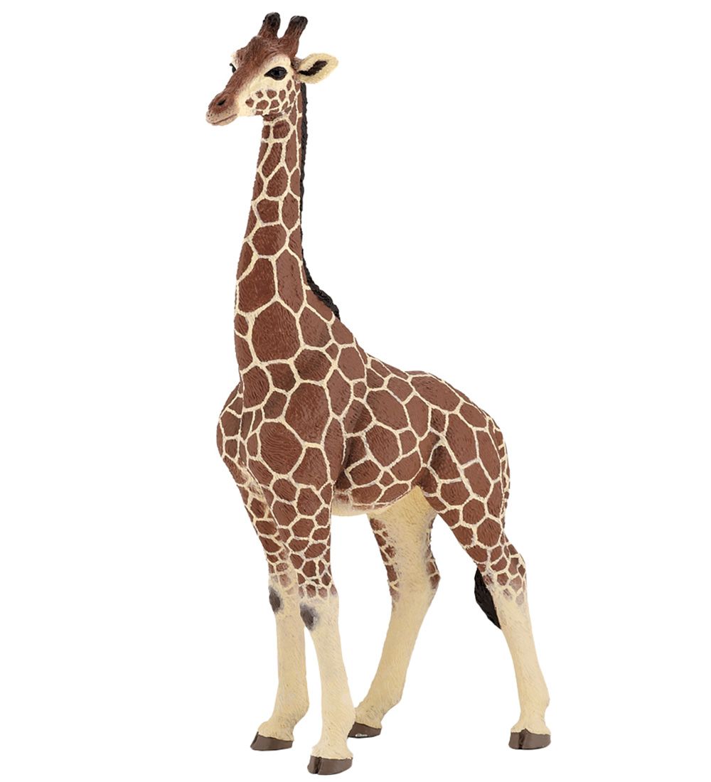 Papo Giraf - Han - H: 20 cm