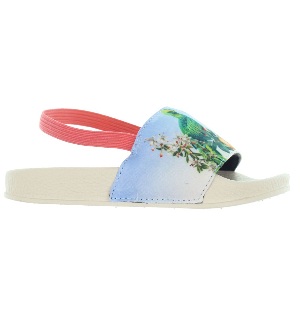 Molo Badesandaler m. Elastikbånd - Zhappy - Paradise Bird
