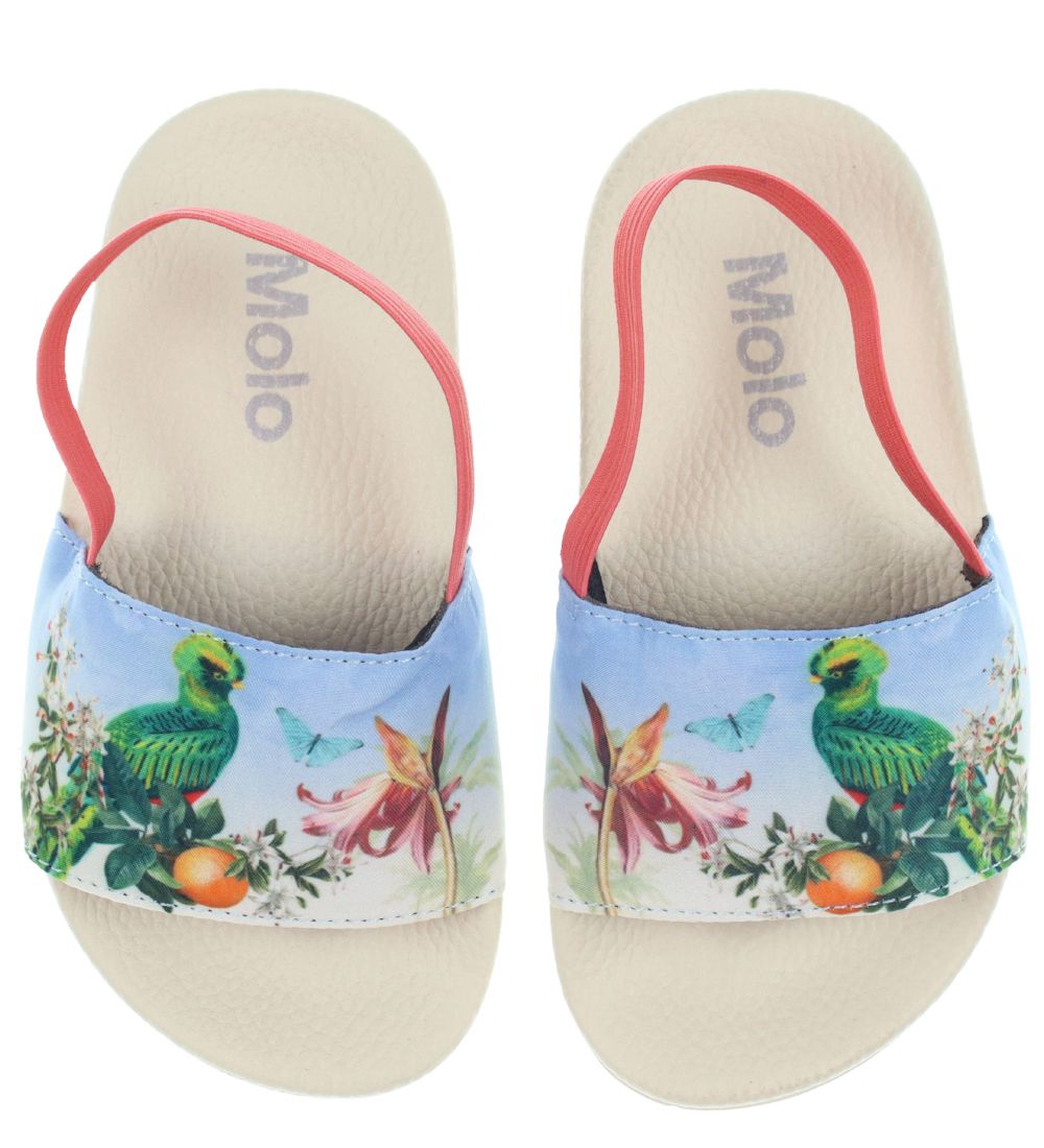 Molo Badesandaler m. Elastikbånd - Zhappy - Paradise Bird