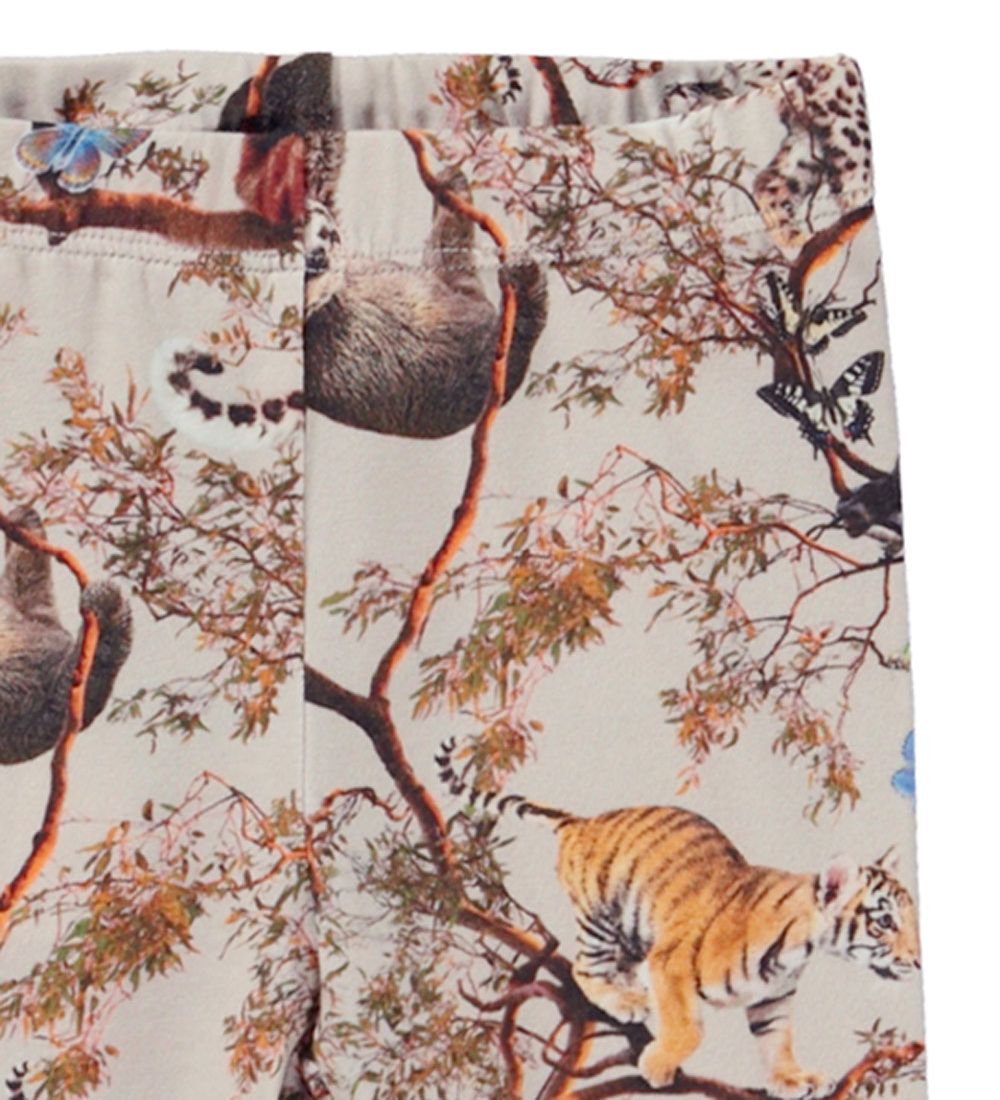 Molo Leggings - Stefanie - Cubs Harmony