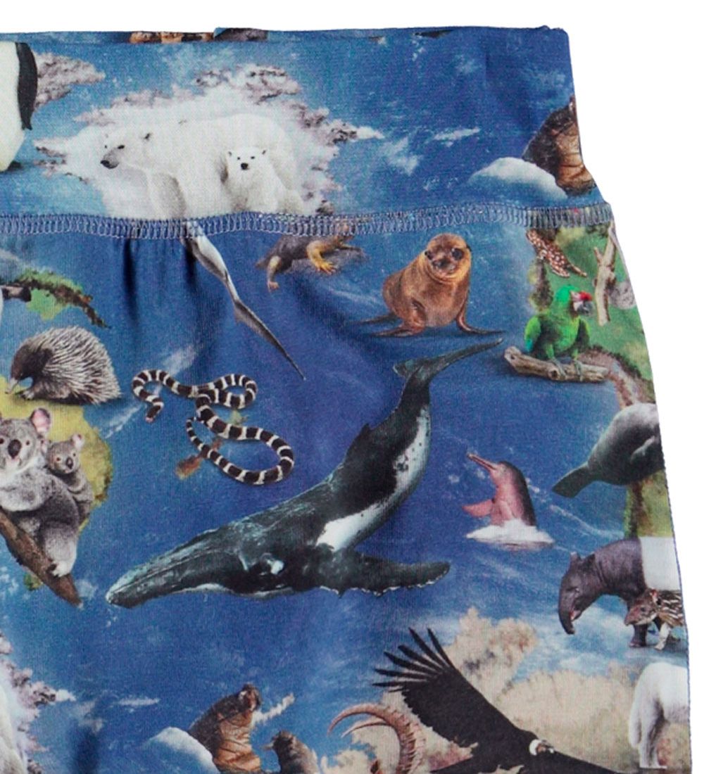 Molo Bukser - Sammy - Animal Earth