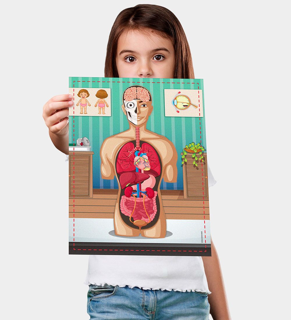Liniex Science4you Sæt - Human Body