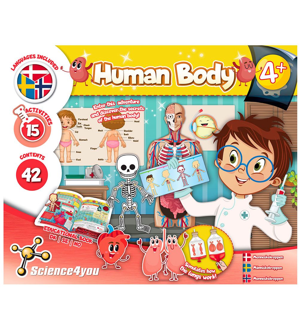 Liniex Science4you Sæt - Human Body