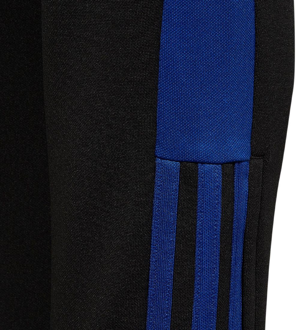 adidas Performance Trningsbukser - Tiro - Black/Royal Blue