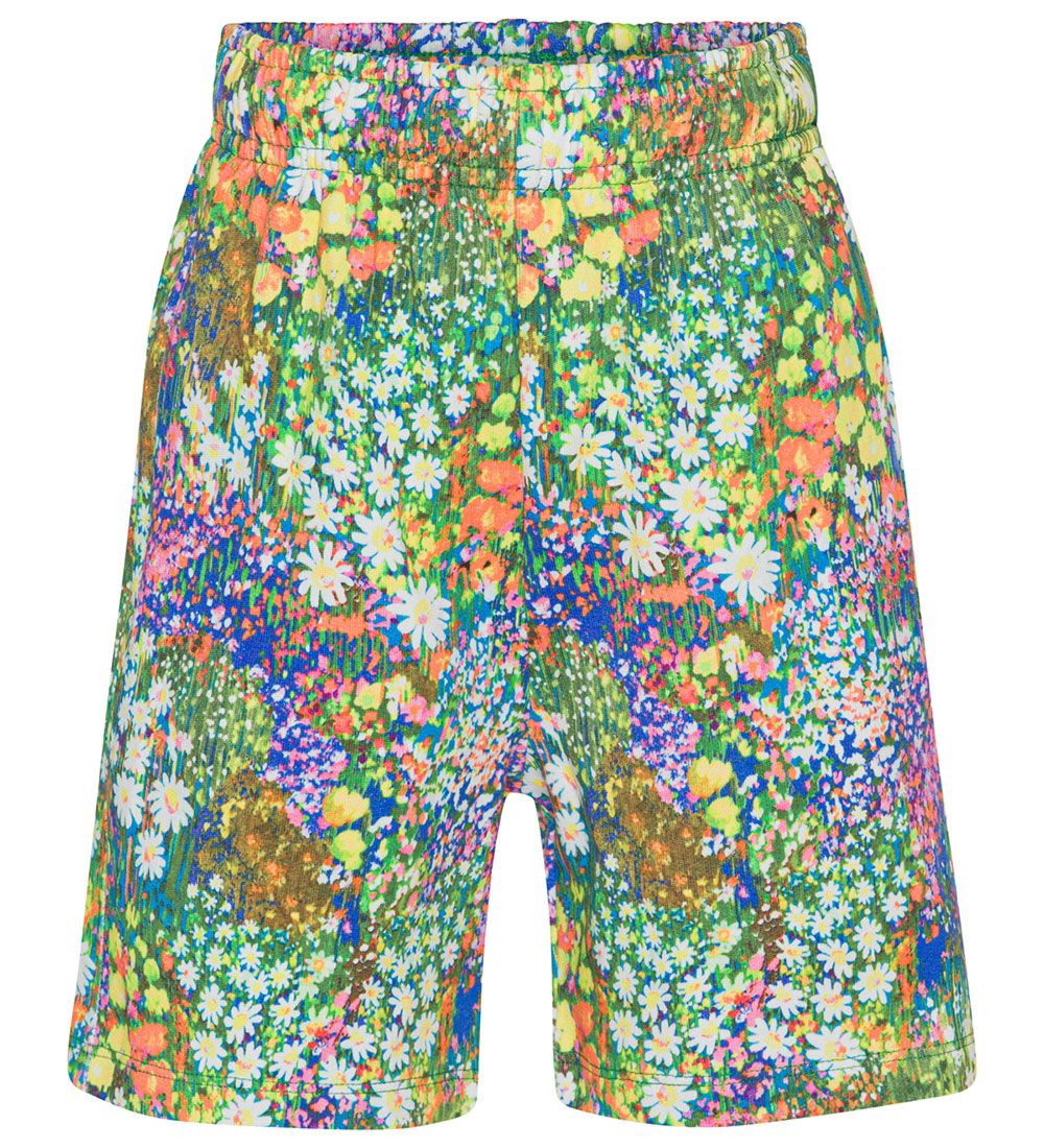 Molo Shorts - Adian - Flower Field