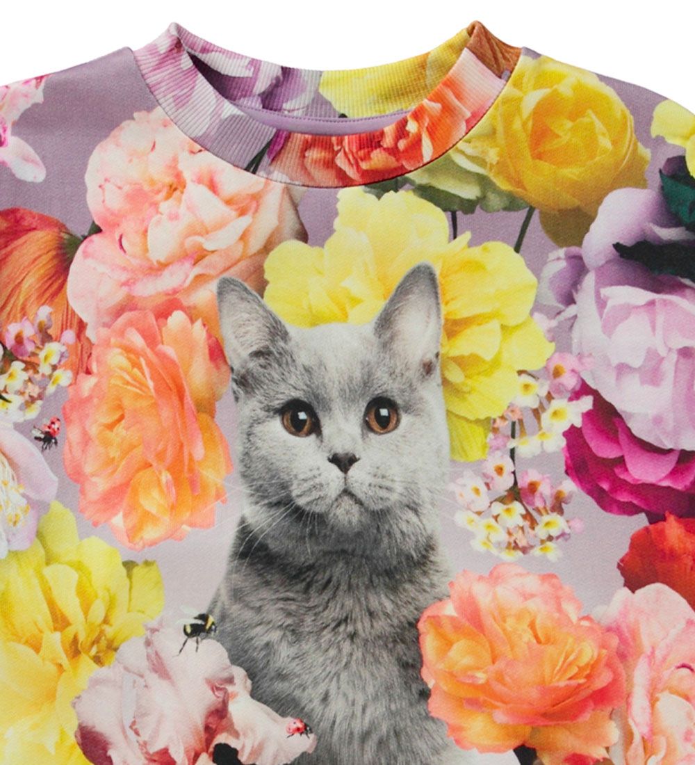 Molo Sweatshirt - Maxi - Rosegarden Cat