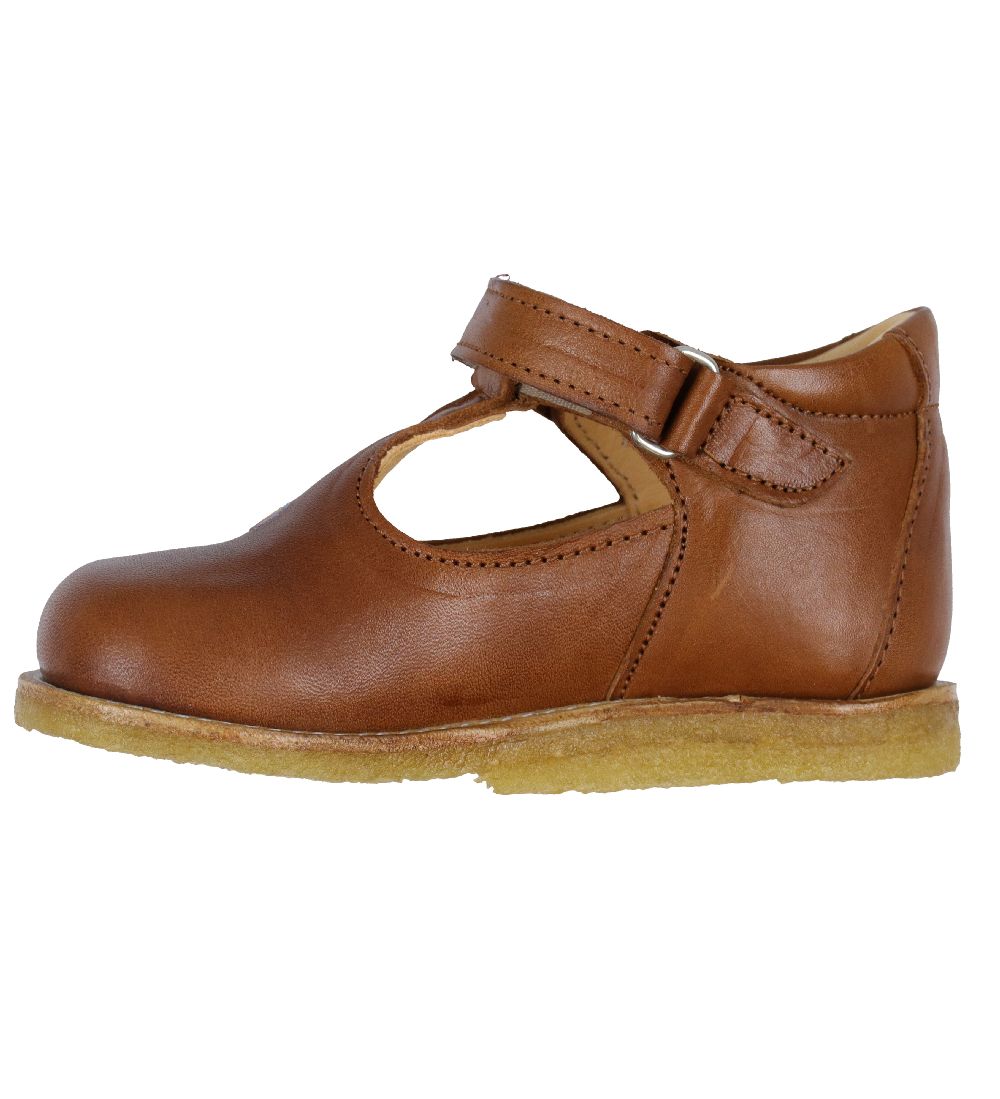 Angulus Begyndersko - Cognac