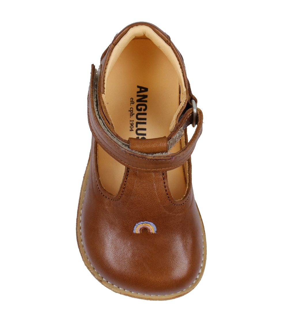 Angulus Begyndersko - Cognac