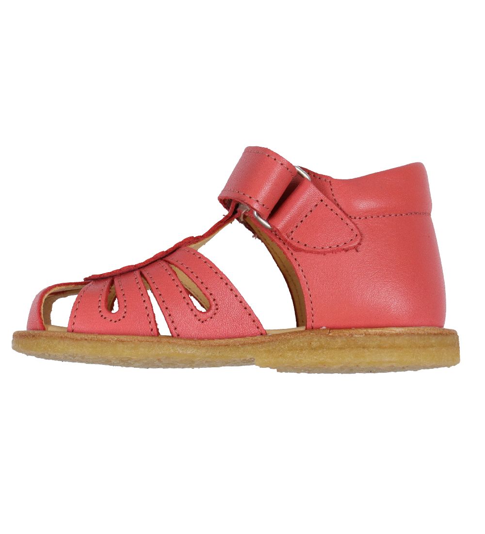 Angulus Begyndersandal - Koral