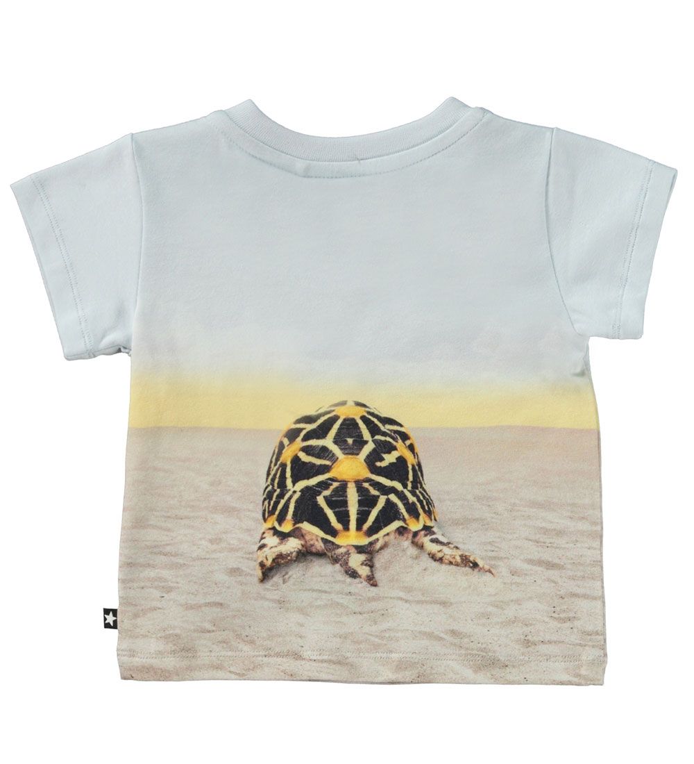 Molo T-shirt - Emilio - Sunny Turtles