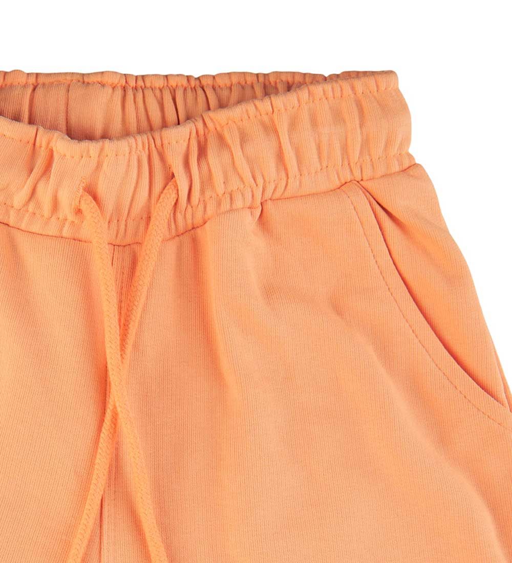 The New Shorts - TnGia - Apricot Nectar