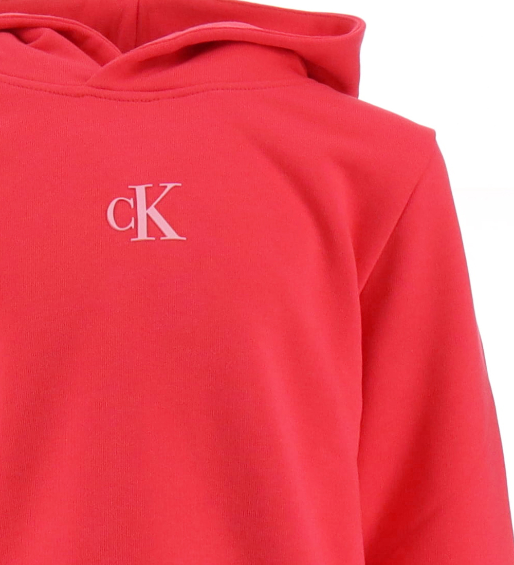 Calvin Klein Hættetrøje - Logo Boxy - Teaberry