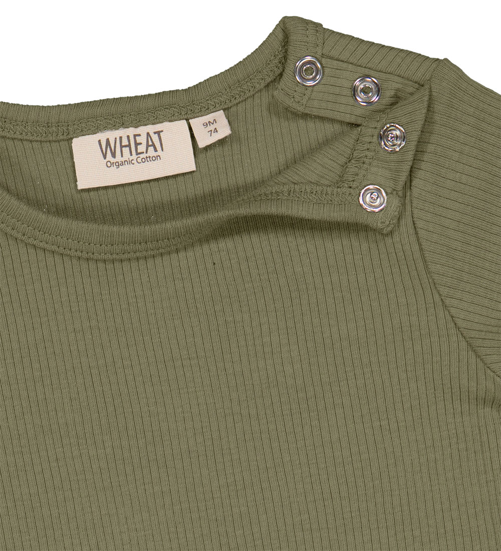 Wheat Body k/æ - Rib - Frog
