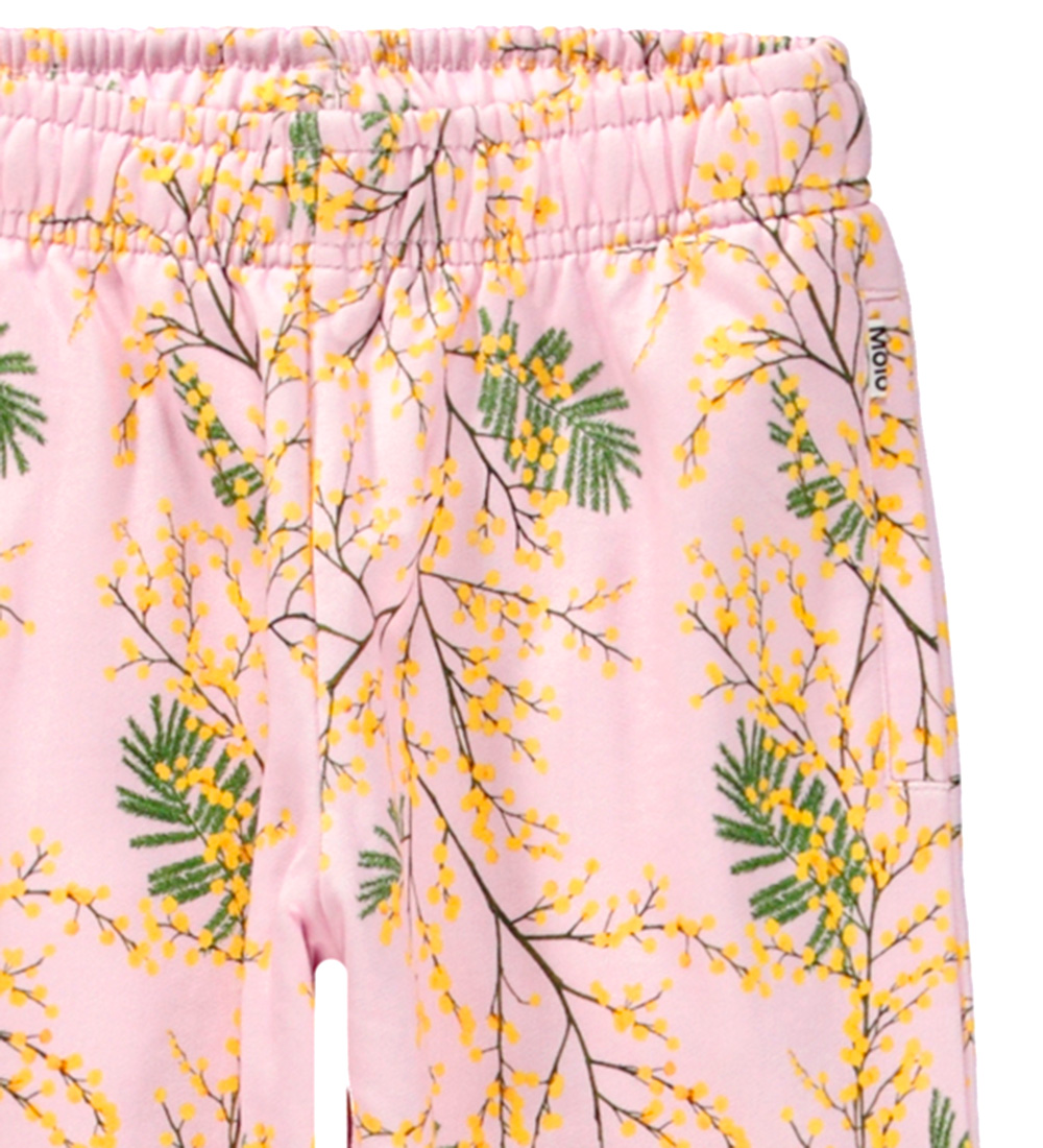 Molo Sweatpants - Adan - Mimosa Glow