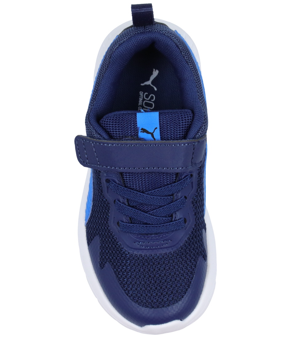 Puma Sko - Evolve Run Mesh AC+ PS - Persian Blue/Racing Blue