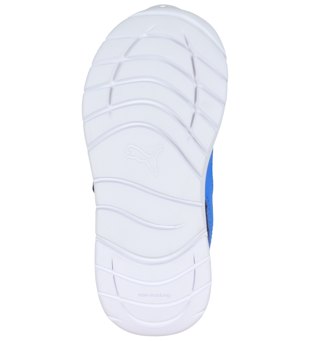 Puma Sko - Evolve Run Mesh AC+ PS - Persian Blue/Racing Blue