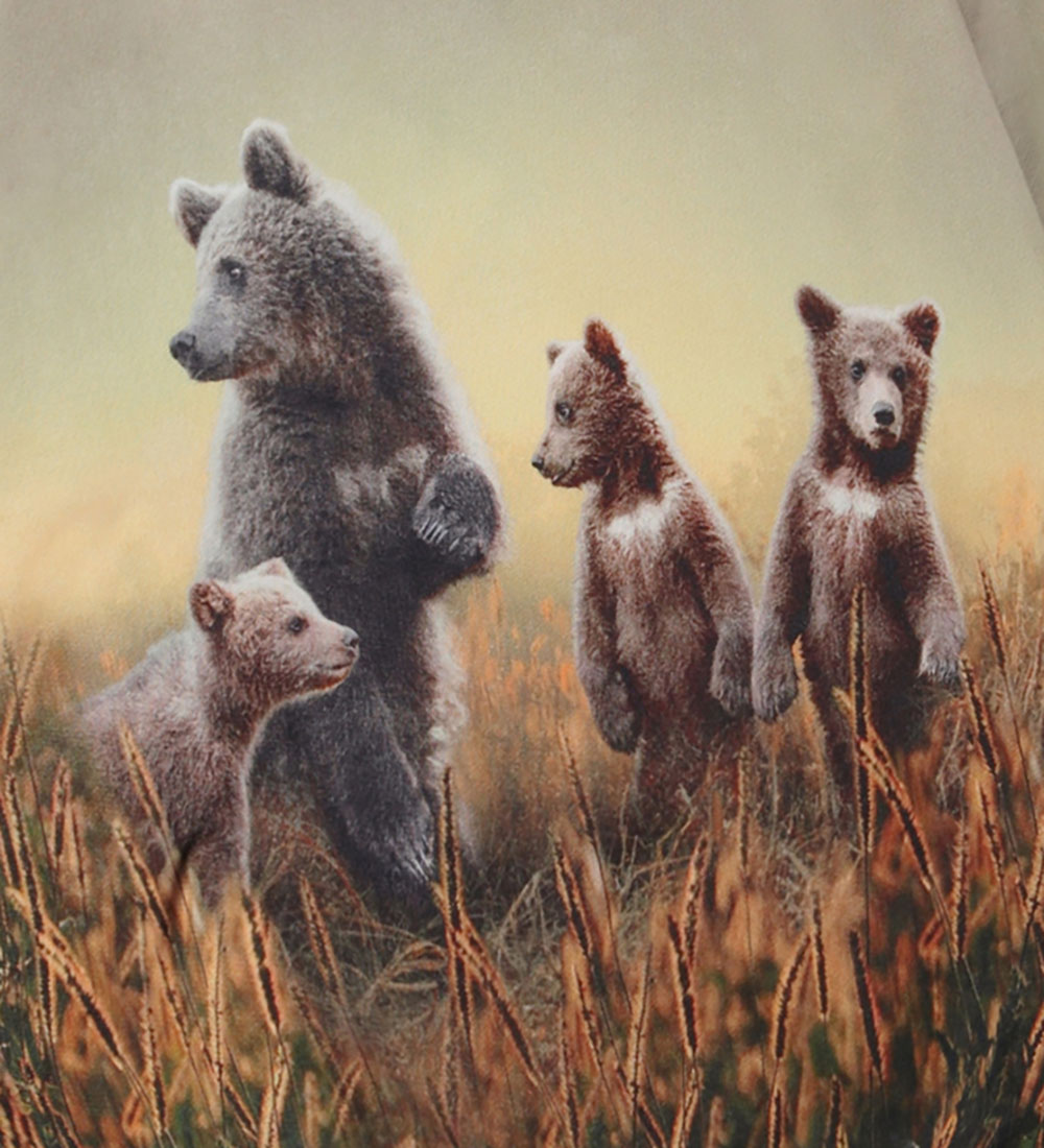 Molo Sweatshirt - Mattis - Bear Life