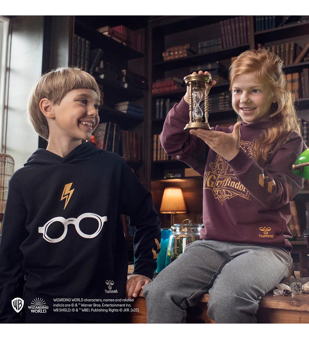 Hummel Hættetrøje - hmlHarry Potter - Sort
